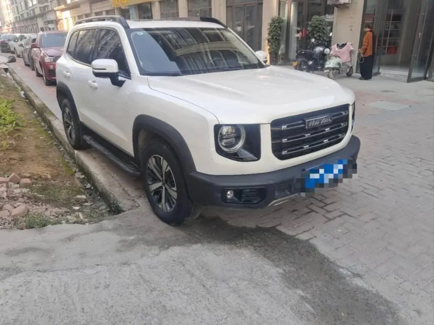 Haval 2020 big dogs 1.5T border animal husbandry version of automatic gear 2