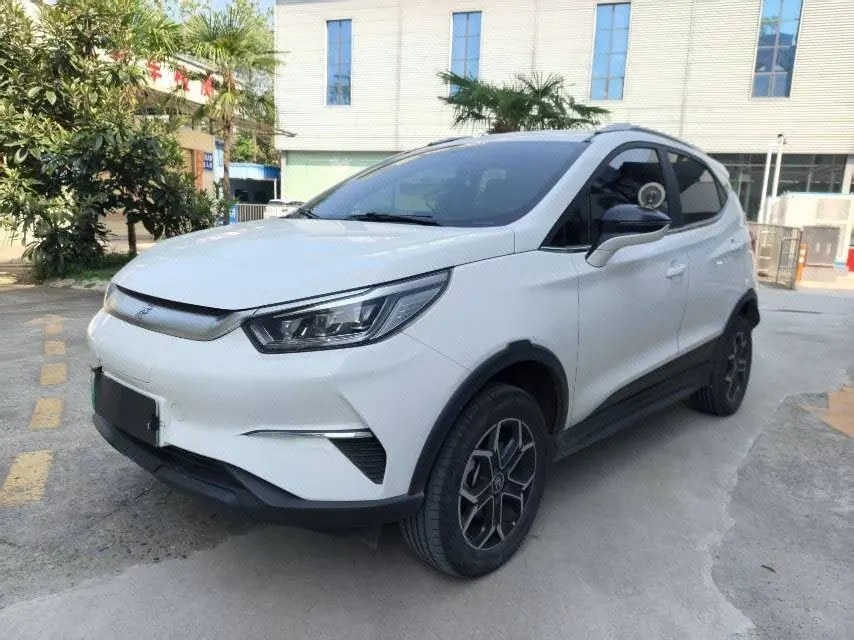 BYD Yuan Pro 2023 Yuan Pro 401KM Honorable Automatic Gear - View 1