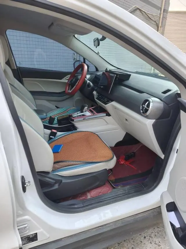 BYD Yuan Pro 2023 Yuan Pro 401KM Honorable Automatic Gear 4