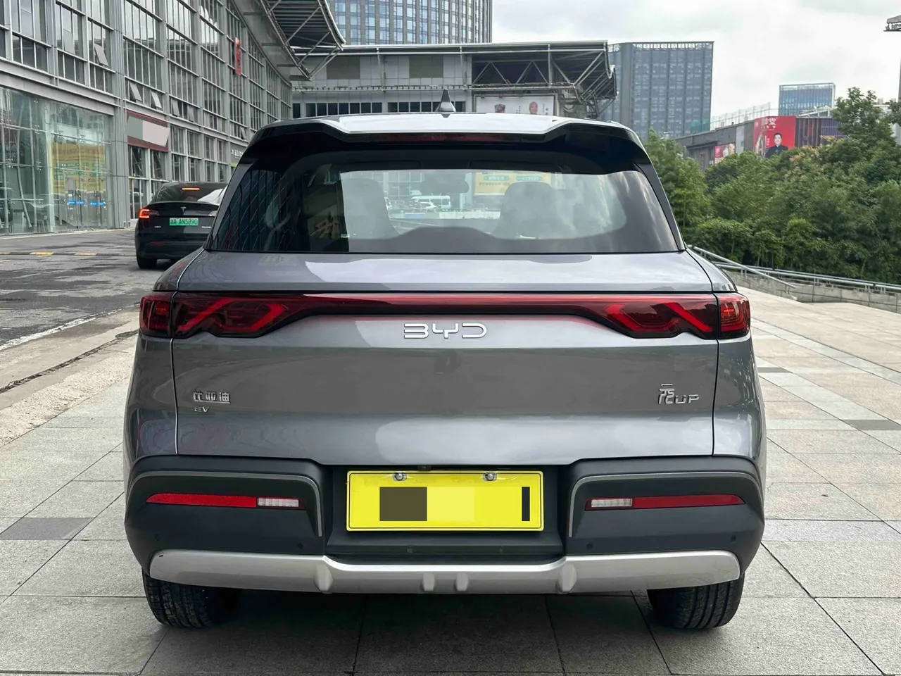BYD 2024 Yuan UP 401KM Vital Edition Automatic Gear 6
