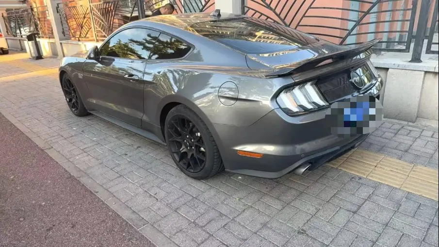 Ford Yema (Imported) 2020 Yema S 2.3T EcoBoost Obsidian Phantom of the Opera Special Edition Automatic Gear 4