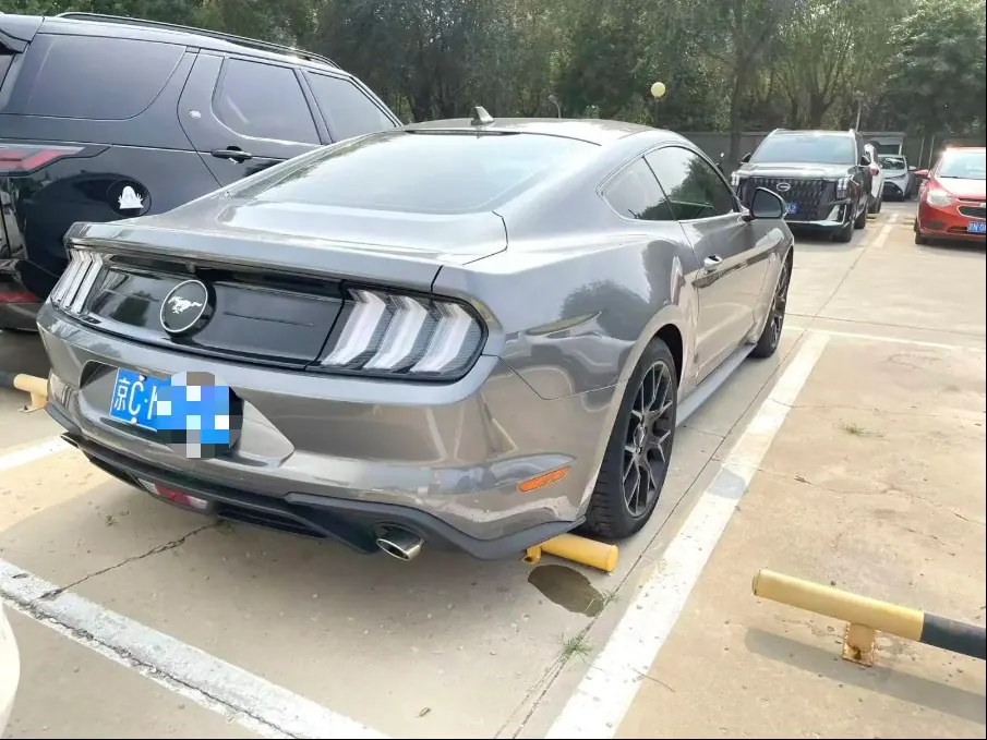 Ford Yema (Imported) 2020 Yema S 2.3T EcoBoost Obsidian Phantom of the Opera Special Edition Automatic Gear 5