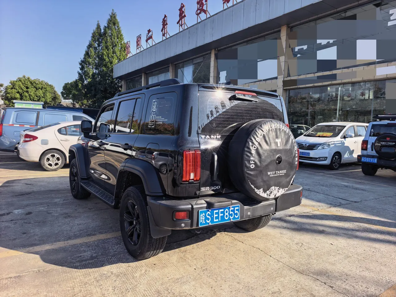 Tank 2023 Tank 300 2.0T Off-road Conqueror Automatic 7