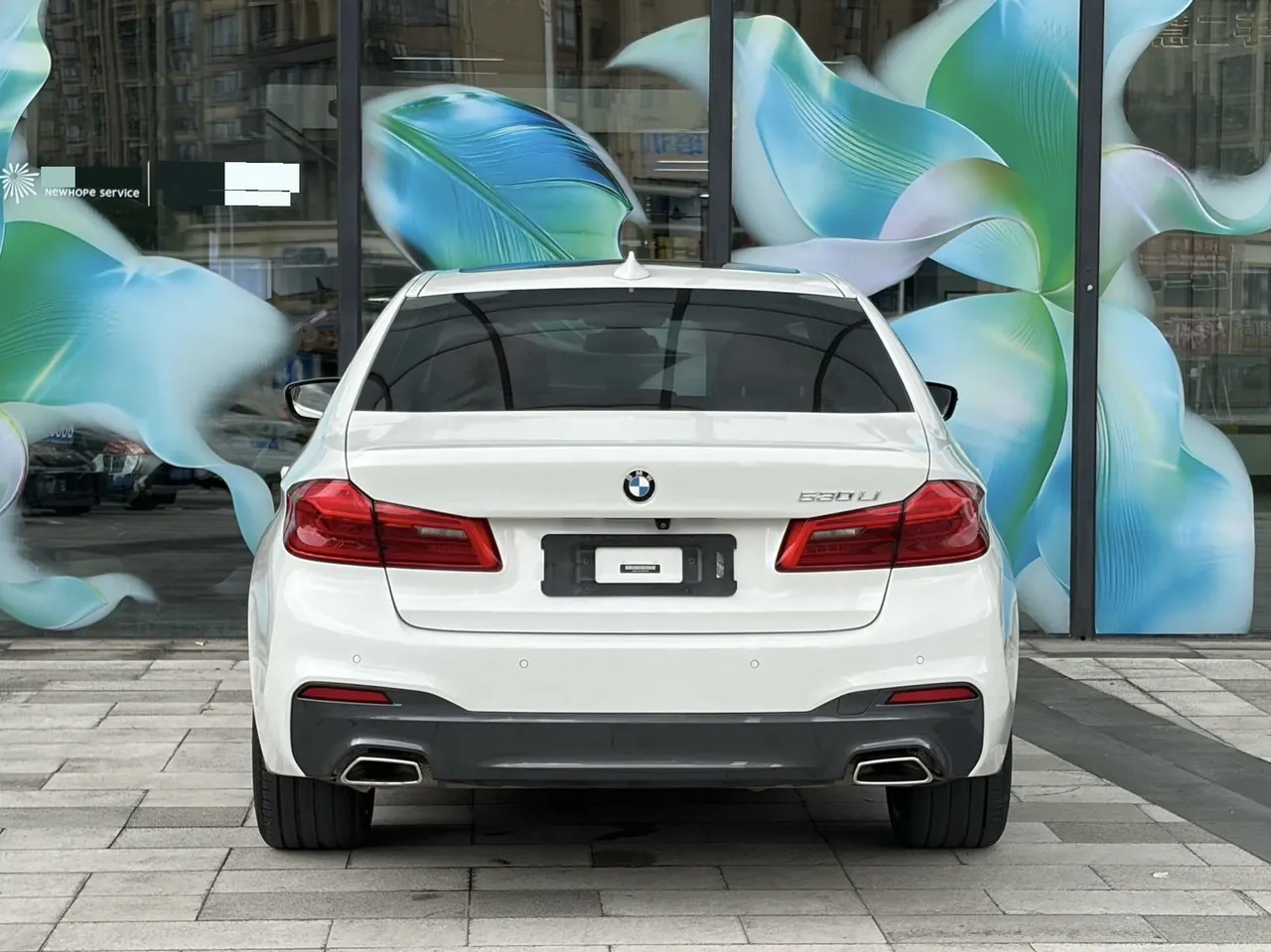 BMW 5 Series 2020 530Li 2.0T Exclusive M Sports Suit Automatic Gear 3
