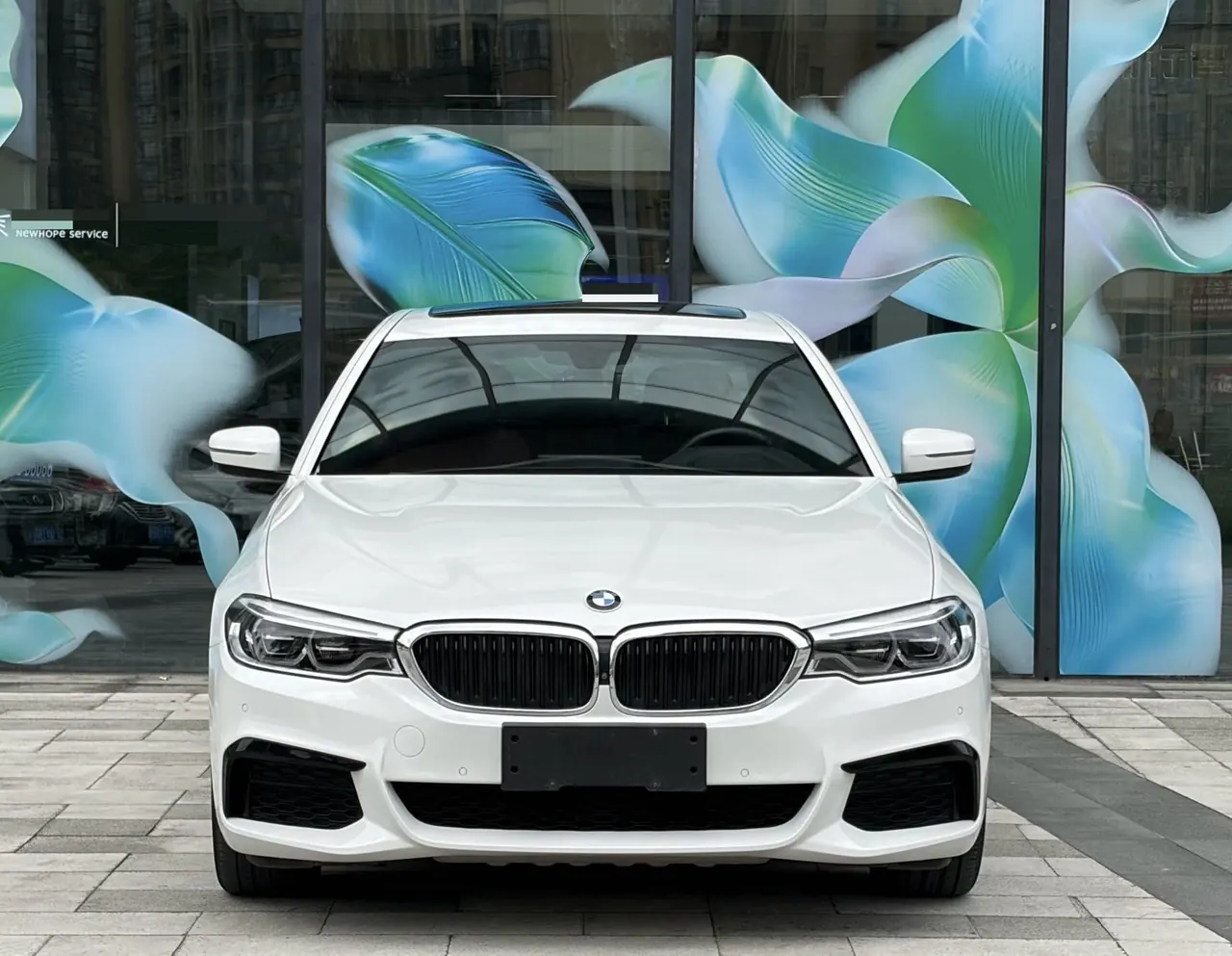 BMW 5 Series 2020 530Li 2.0T Exclusive M Sports Suit Automatic Gear 5