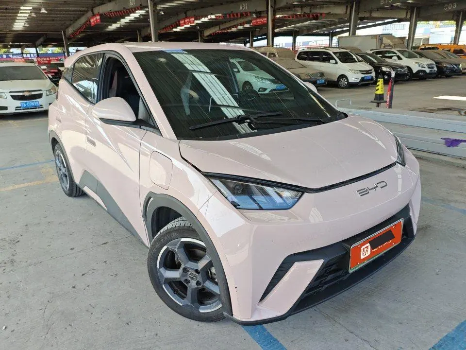 BYD 2023 seagull flying version automatic gear 2