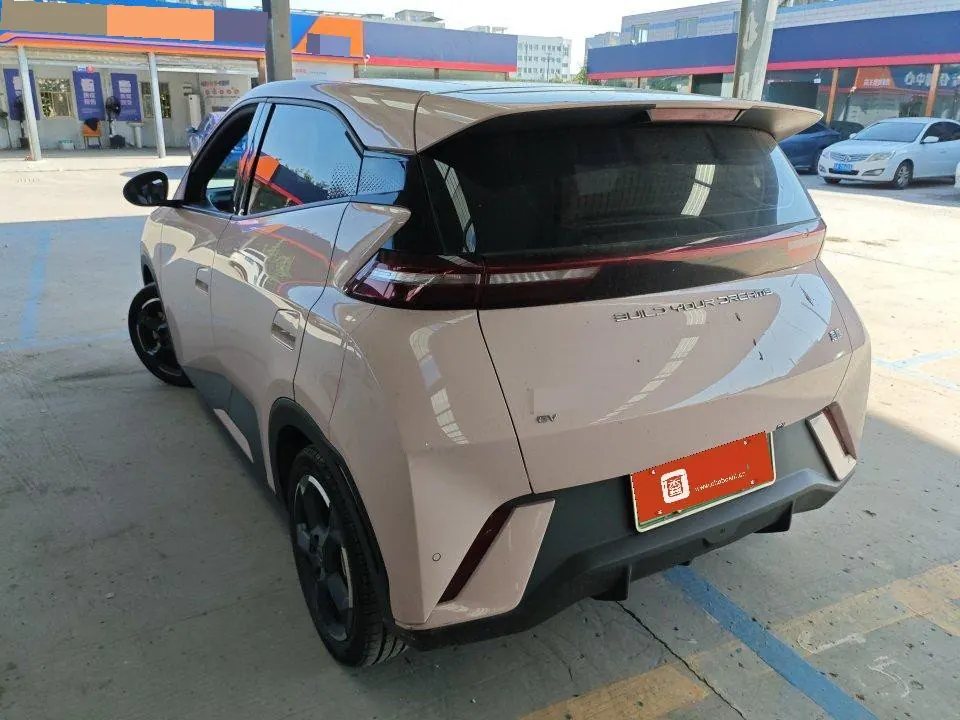 BYD 2023 seagull flying version automatic gear 6