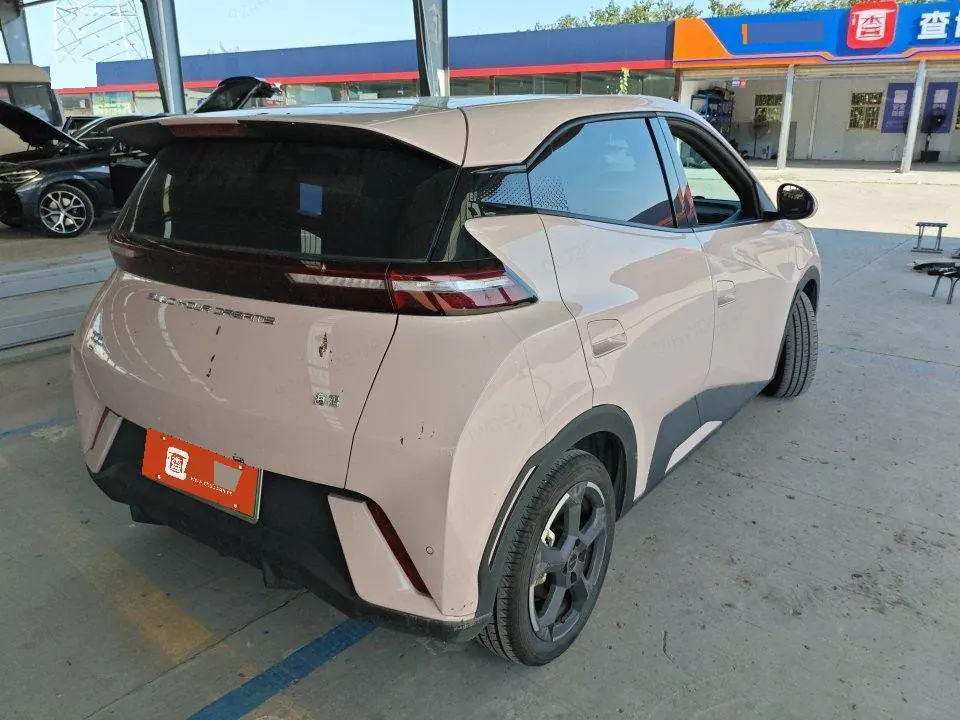 BYD 2023 seagull flying version automatic gear 7