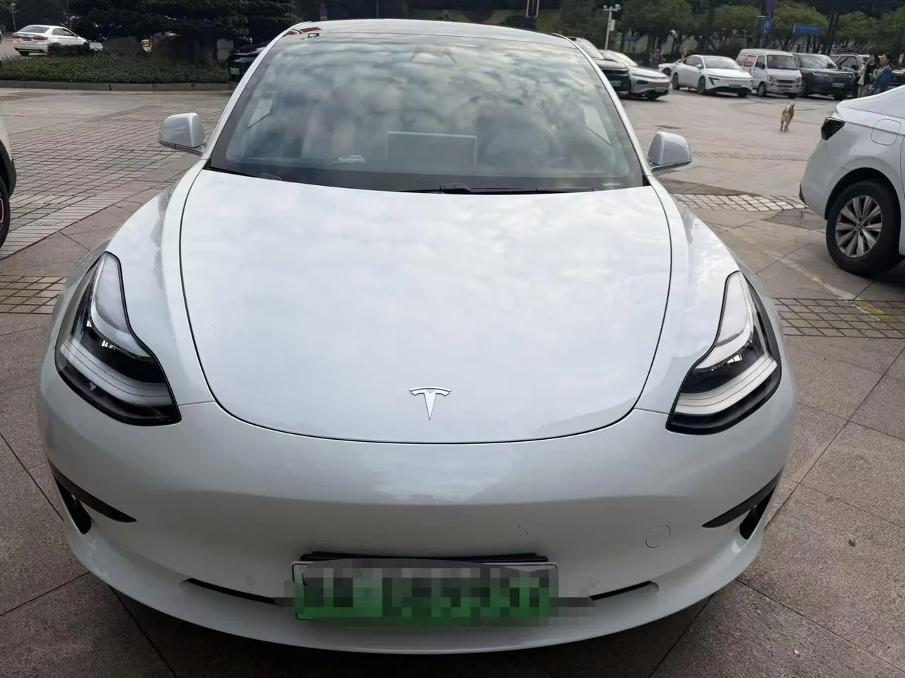 Tesla 2020 Model 3 Standard Endurance Rear Drive Upgrade (Modified) Automatic Gear 2