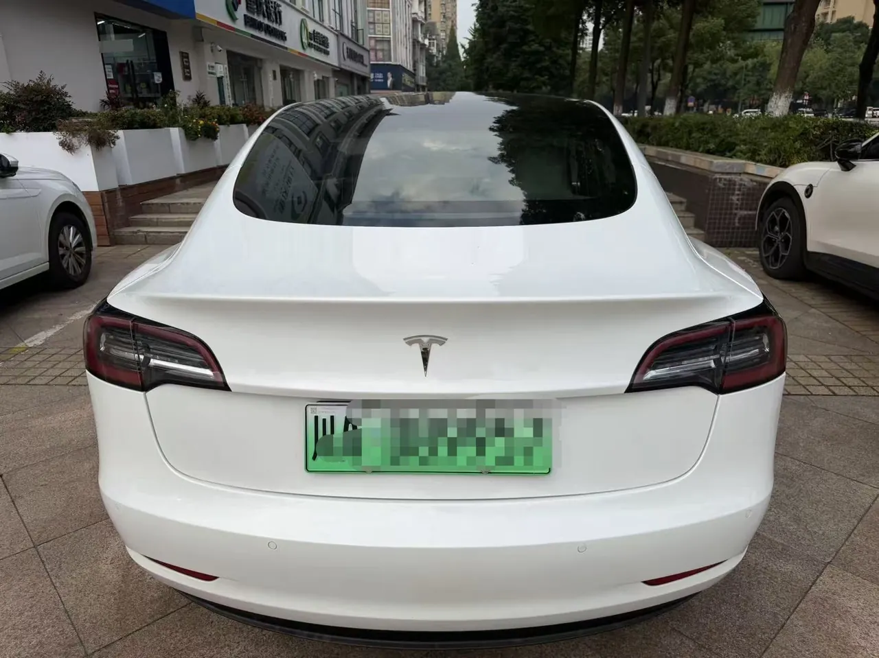 Tesla 2020 Model 3 Standard Endurance Rear Drive Upgrade (Modified) Automatic Gear 5