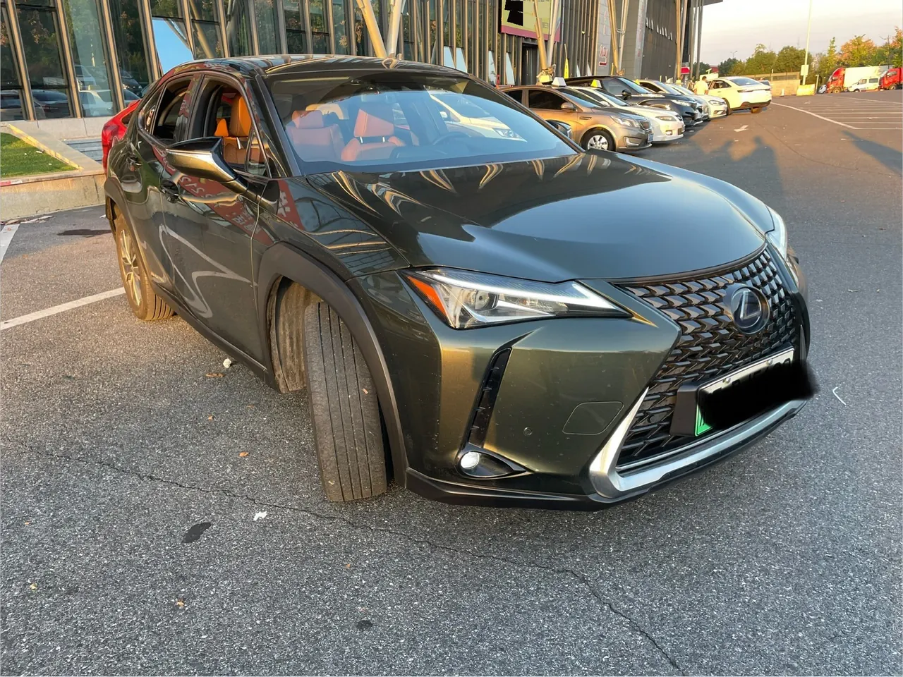 Lexus UX New Energy (Imported) 2020 UX 300e Pure Yue Edition Automatic Gear 10