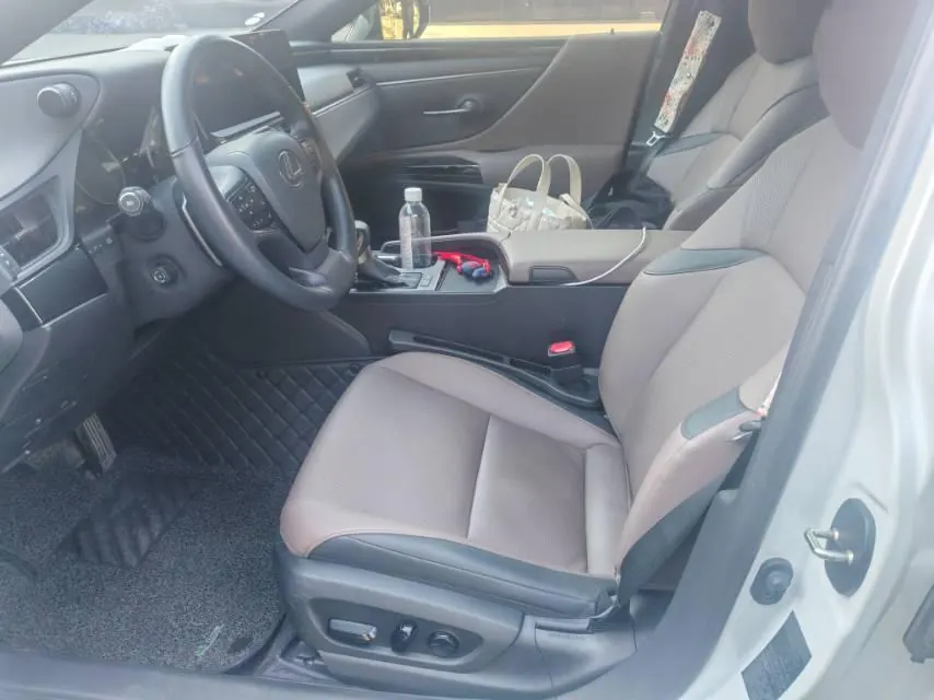Lexus ES (Imported) 2023 ES200 2.0 Stepless Premium Edition Automatic Gear 4