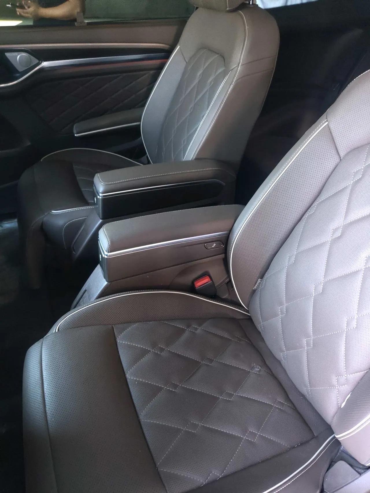 Volkswagen 2020 Wei (Viloran) 2.0TSI 380TSI Premium Edition Automatic Gear 2