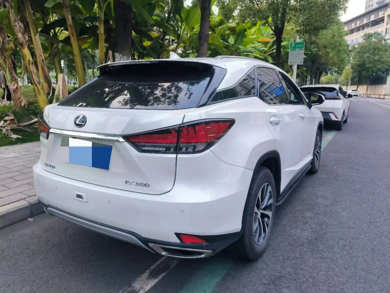 Open image lightbox: Lexus RX (Imported) 2020 RX300 2.0T Two-Drive Elite Edition (Revised) Automatic Gear