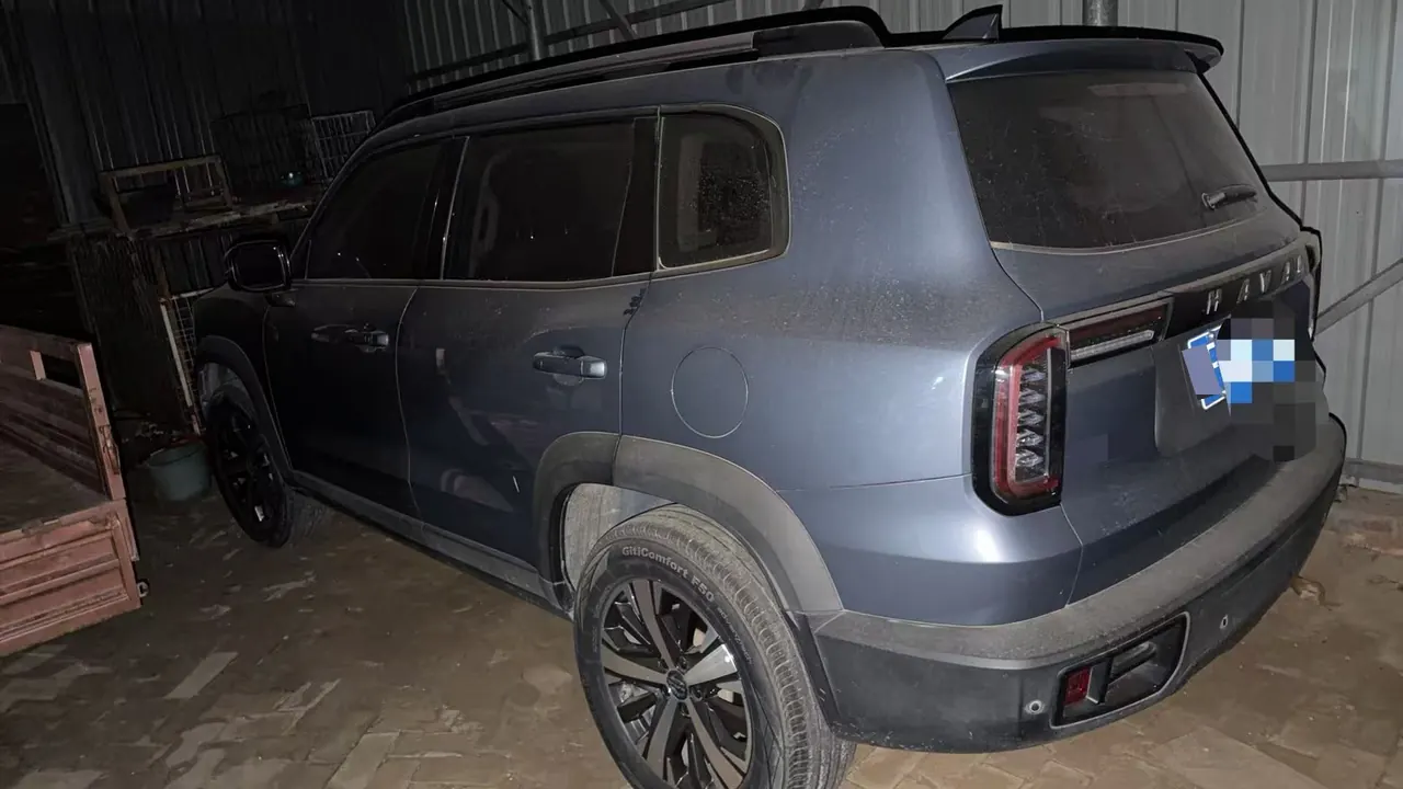 Haval 2020 big dog 1.5T Labrador version automatic gear 2