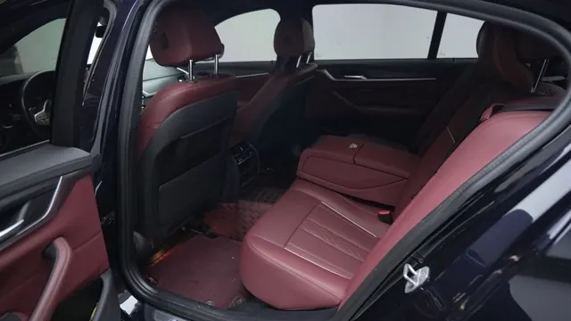 BMW 5 Series 2022 530Li 2.0T Leading Luxury Suit (Change 2) Automatic Gear 4