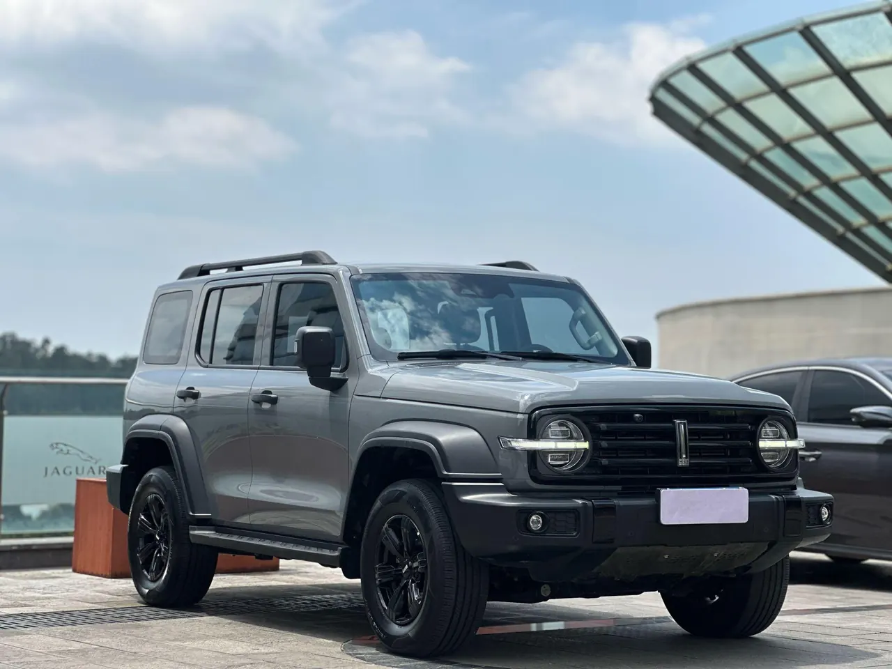 Tank 2021 Tank 300 2.0T Off-road Conqueror Automatic 3