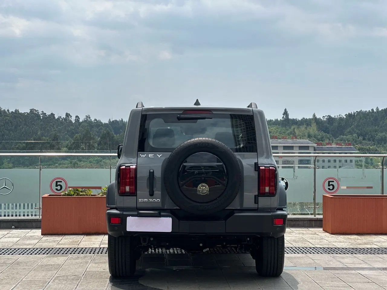 Tank 2021 Tank 300 2.0T Off-road Conqueror Automatic 5