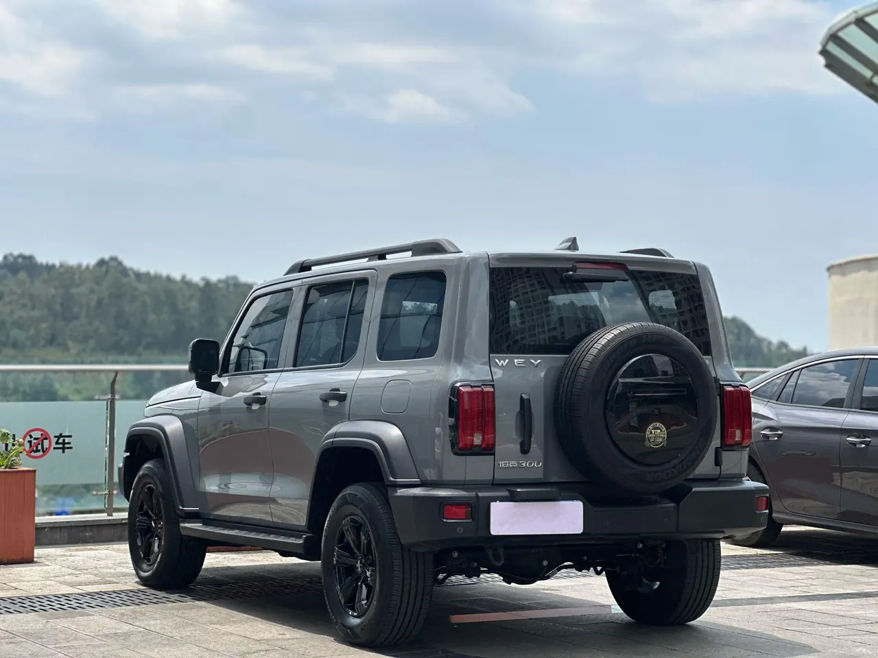 Tank 2021 Tank 300 2.0T Off-road Conqueror Automatic 6