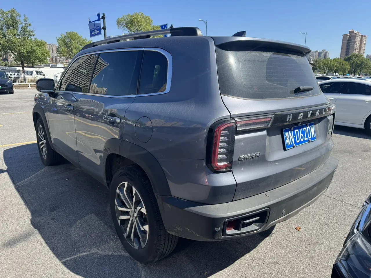 Haval 2022 big dogs 1.5T two-wheel-drive border animal husbandry version automatic gear 4