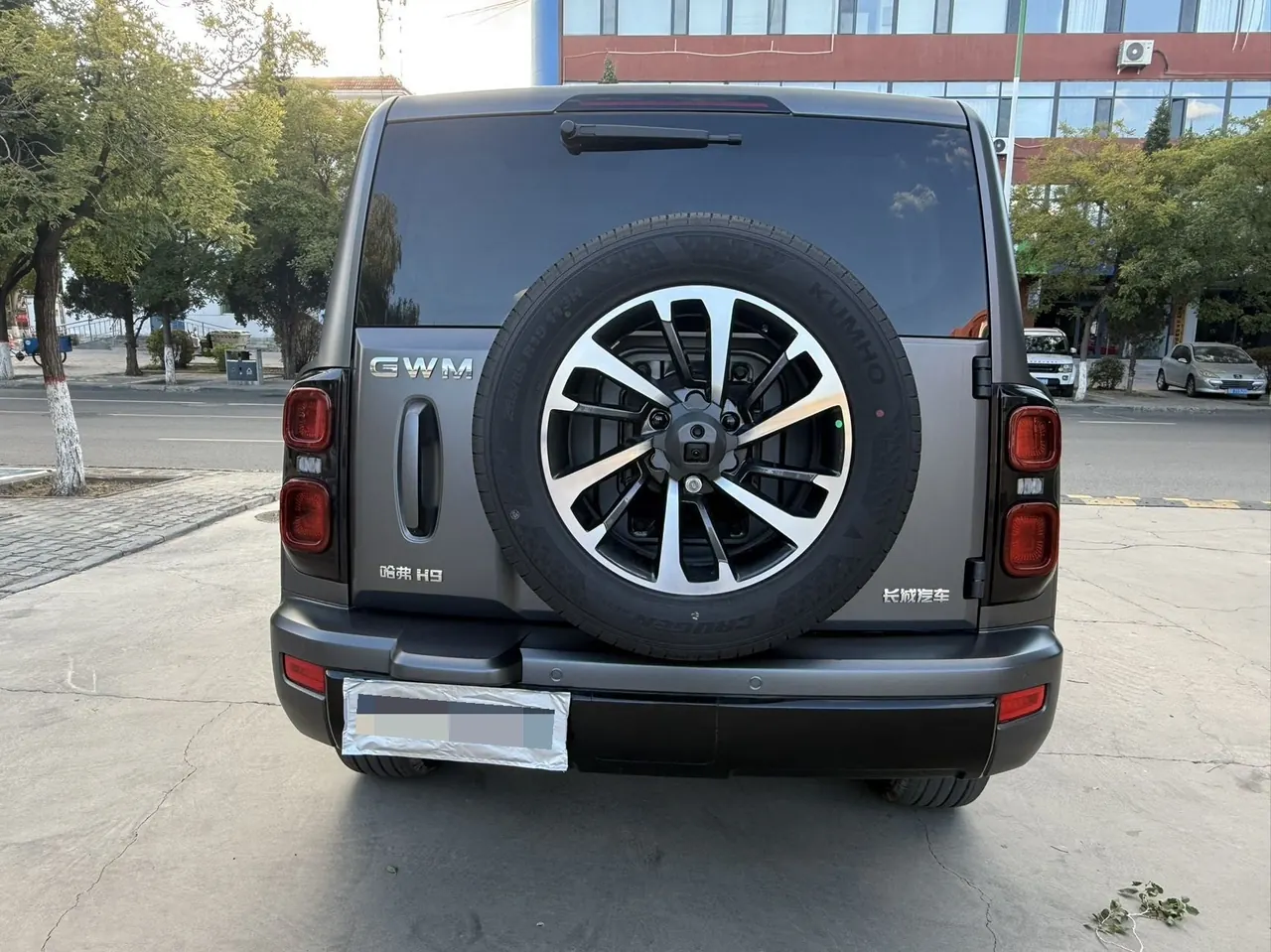 Haval 2026 H9 2.0T Four-wheel Drive Extreme Edition Automatic Gear 8