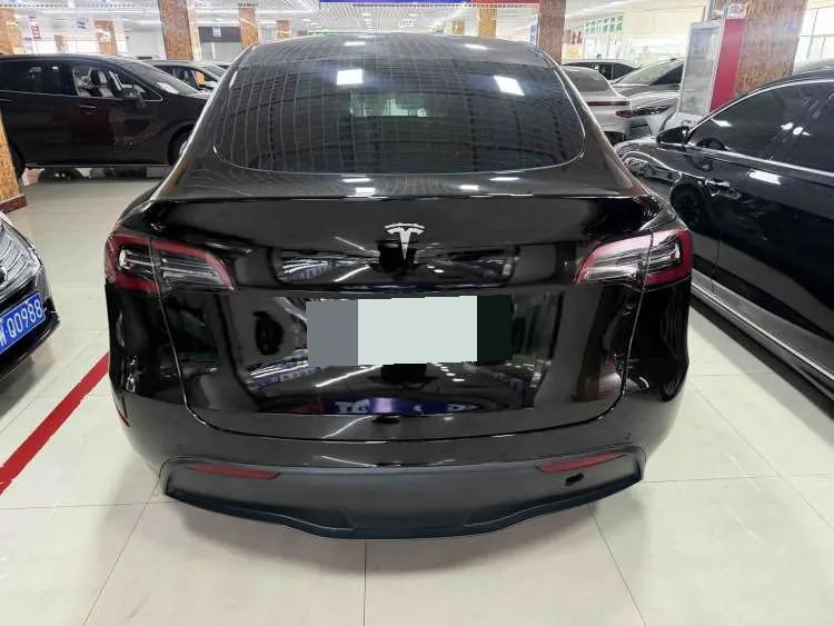 Tesla 2021 Model Y Standard Endurance Rear Drive Automatic Gear 7