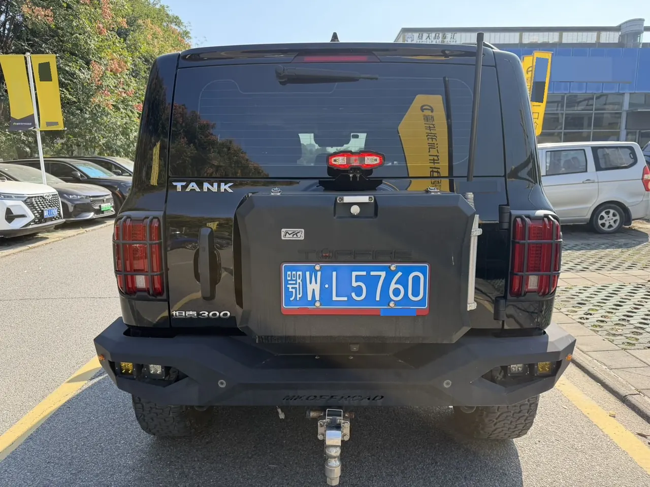 Tank 2021 Tank 300 2.0T Off-road Conqueror Automatic 8