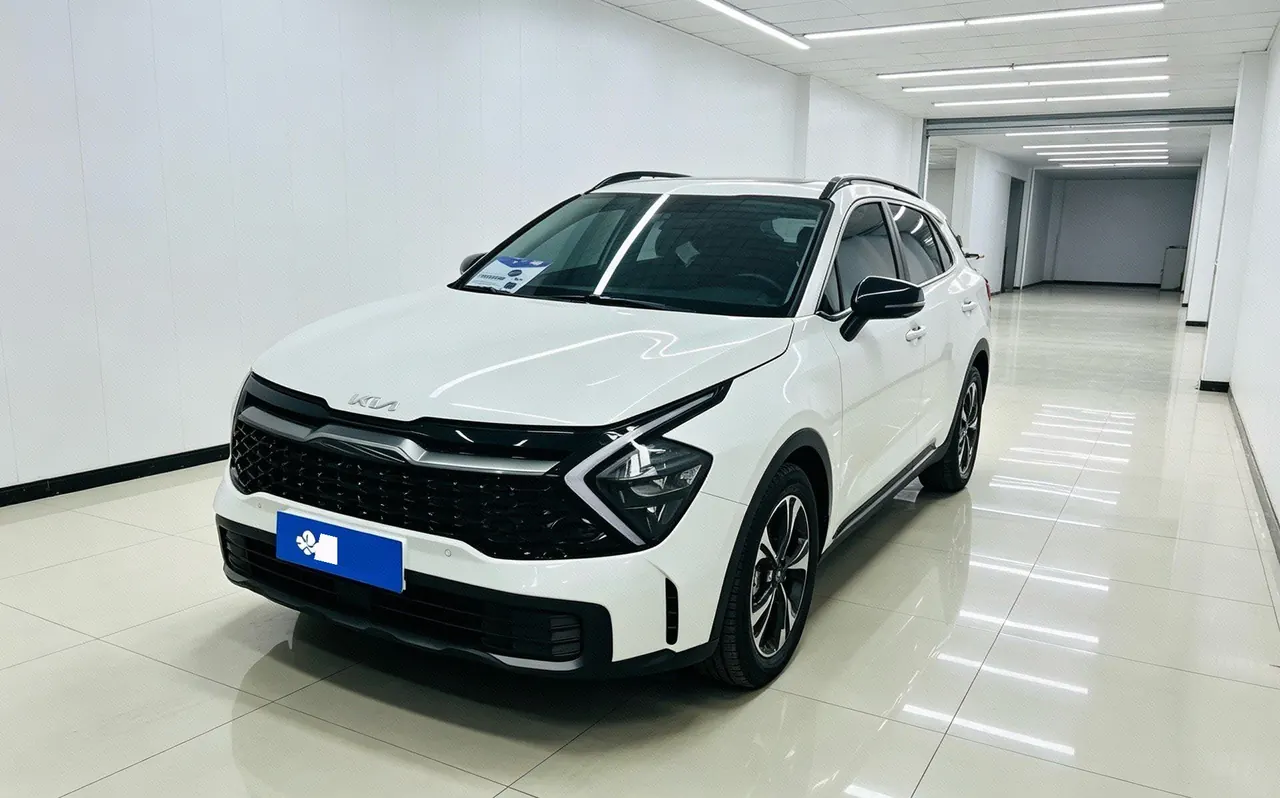 Kia 2023 Lion Platinum Extension World 2.0T Two-Drive Ultimate Automatic Gear - View 1