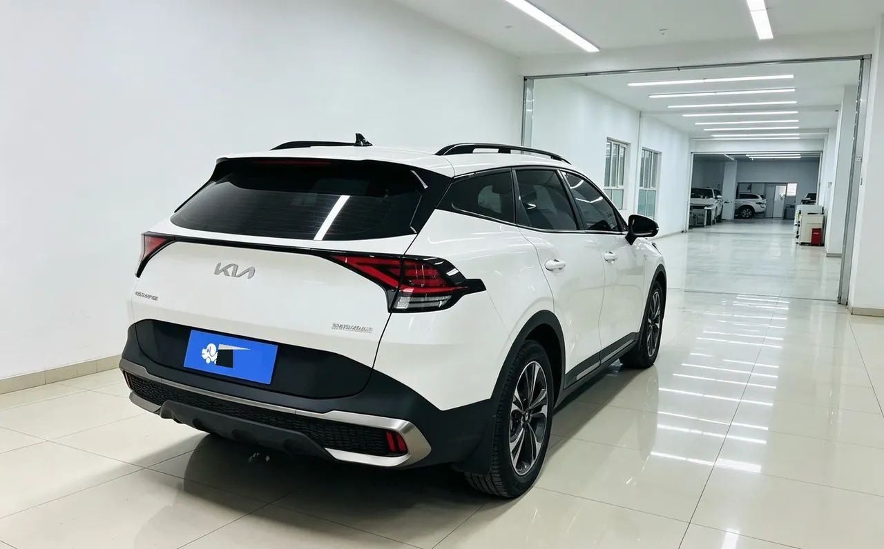 Kia 2023 Lion Platinum Extension World 2.0T Two-Drive Ultimate Automatic Gear 2