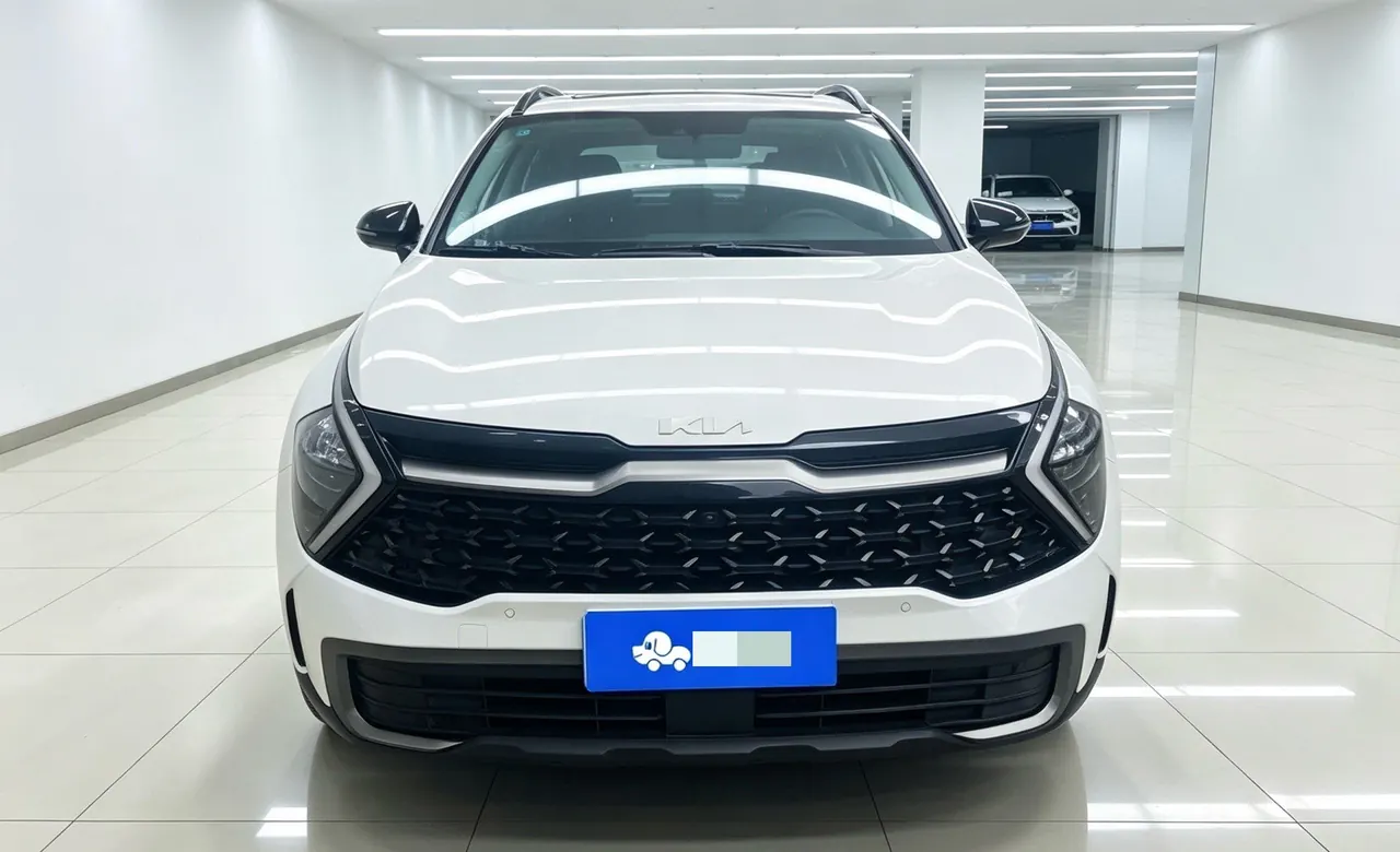 Kia 2023 Lion Platinum Extension World 2.0T Two-Drive Ultimate Automatic Gear 3