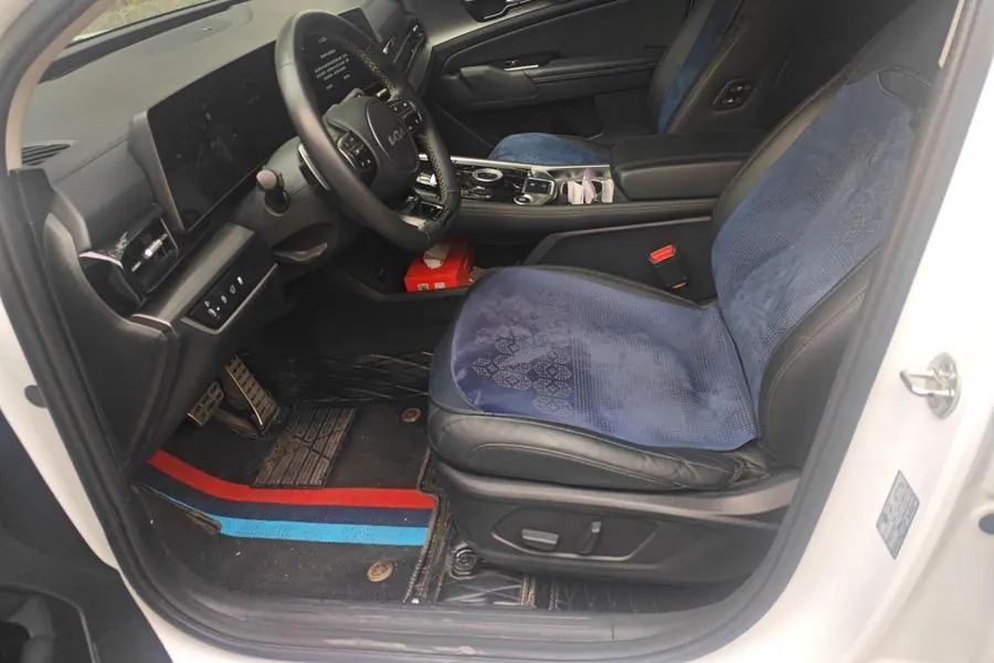Kia 2023 Lion Platinum Extension World 2.0T Two-Drive Ultimate Automatic Gear 4