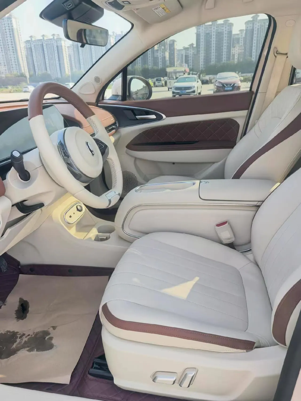 Ora 2023 Good Cat 401km Standard Endurance Luxury Lithium Iron Phosphate Automatic Gear 4
