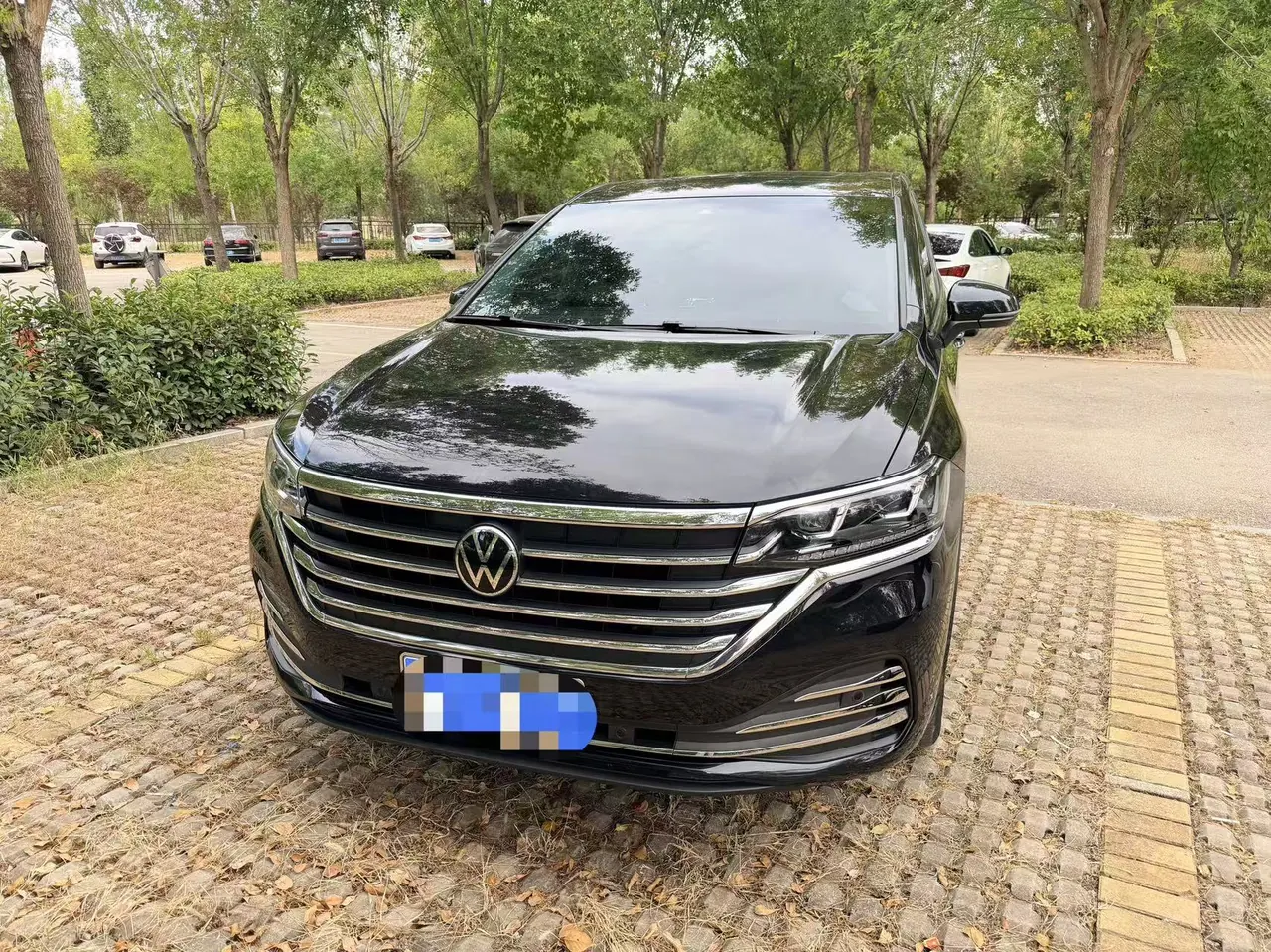 Volkswagen 2022 Wei (Viloran) 2.0TSI 380TSI Zunchi Edition Automatic Gear 2