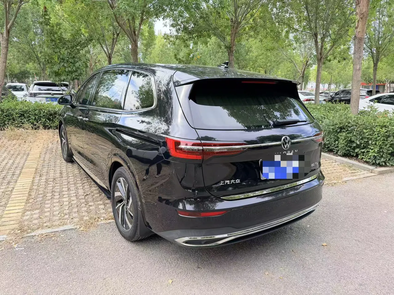 Volkswagen 2022 Wei (Viloran) 2.0TSI 380TSI Zunchi Edition Automatic Gear 3