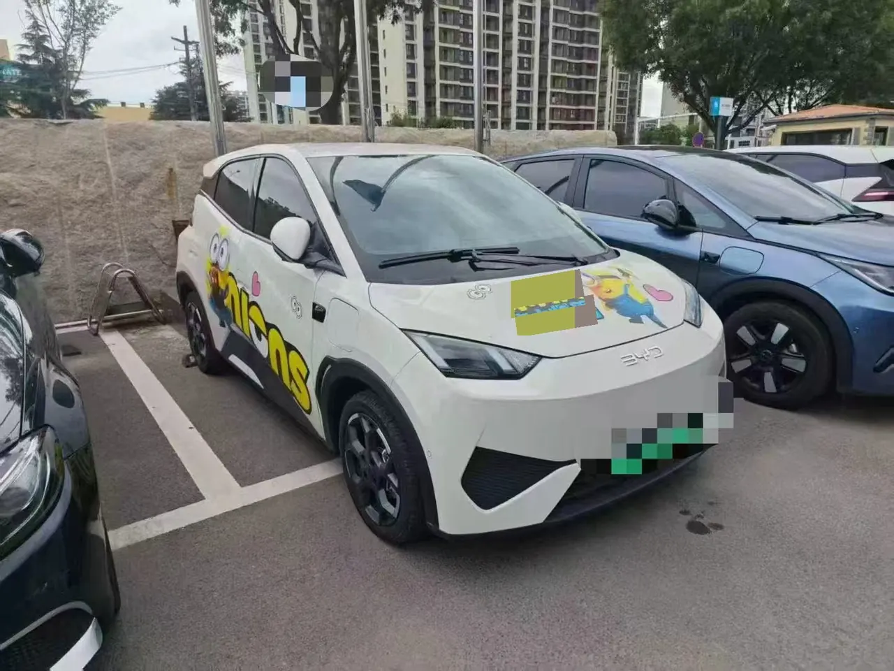 BYD 2025 Seagull Smart Driving Edition 305km Free Edition Automatic Gear 5