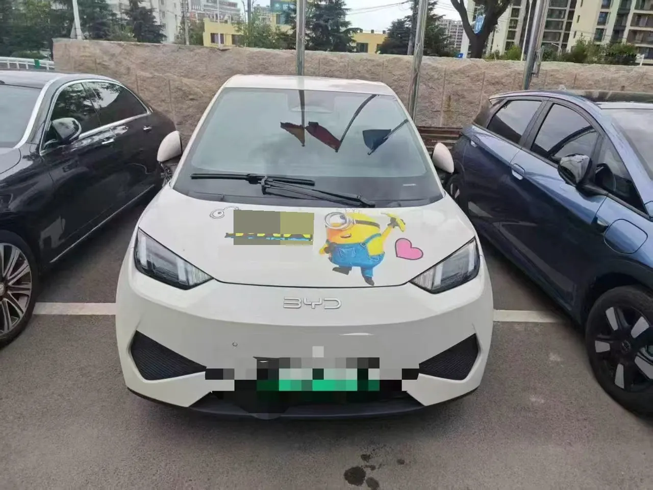 BYD 2025 Seagull Smart Driving Edition 305km Free Edition Automatic Gear 6