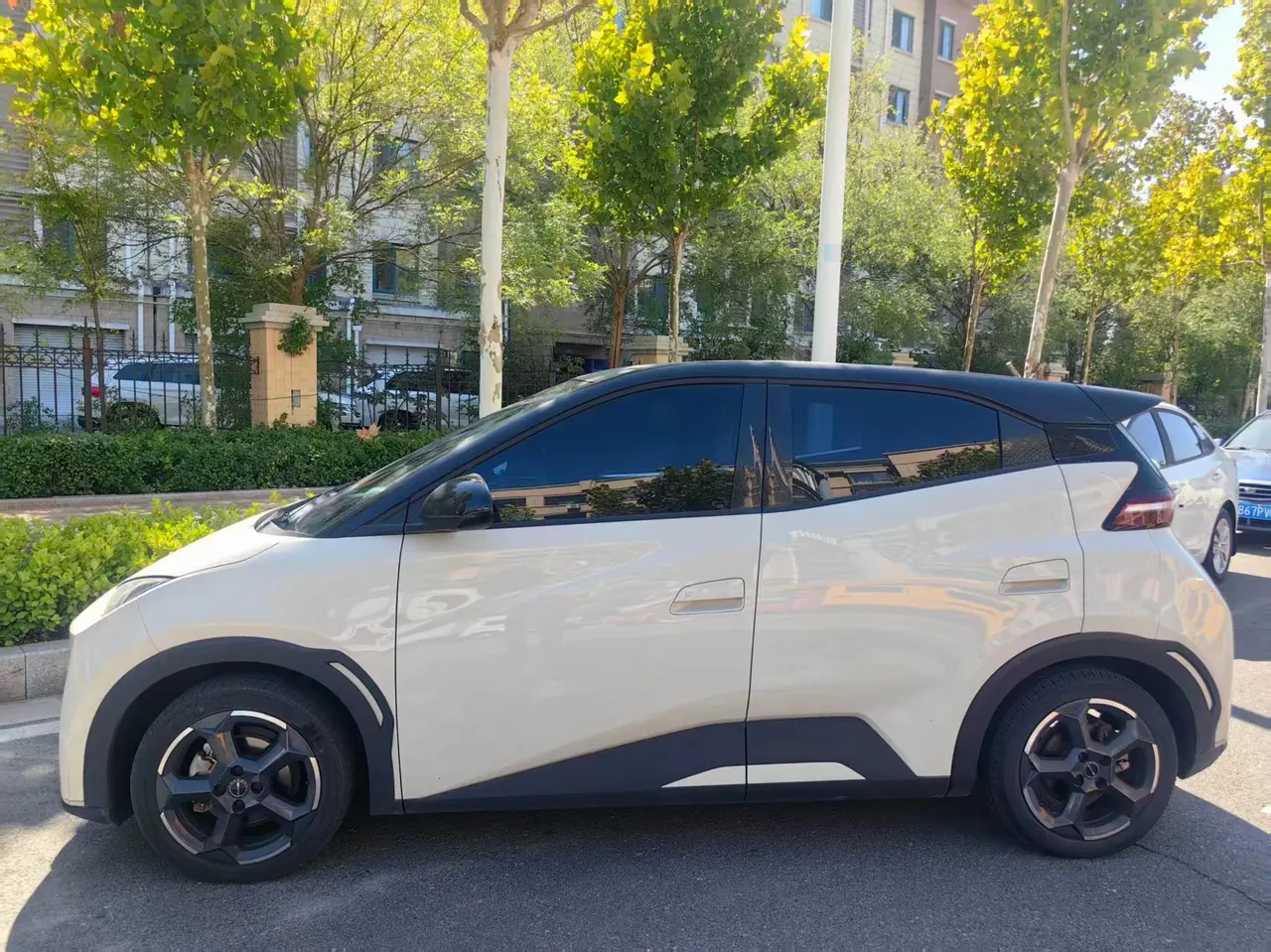BYD 2024 Seagull Glory Edition 405km Flying Edition Automatic Gear 2