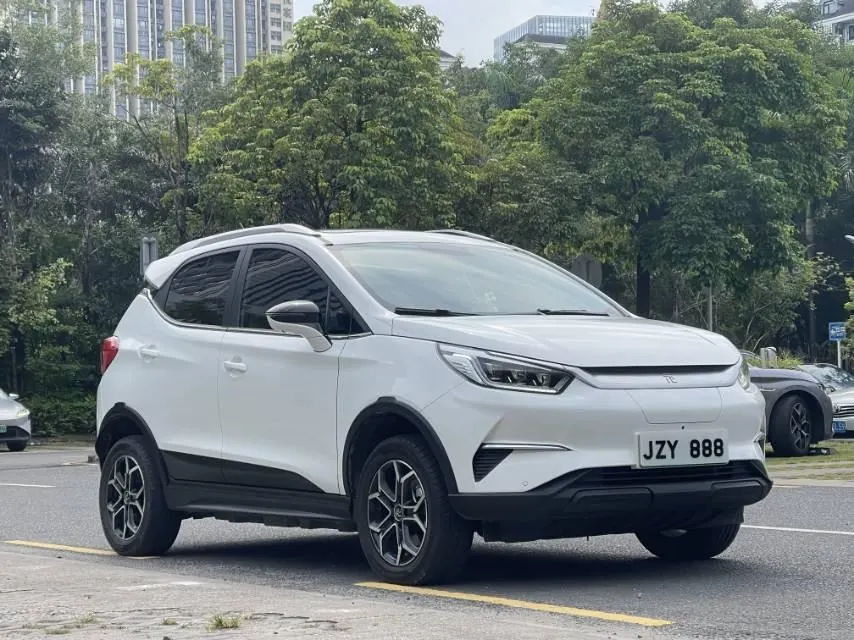 BYD Yuan Pro 2021 Yuan Pro 401KM Honorable Automatic Gear 3