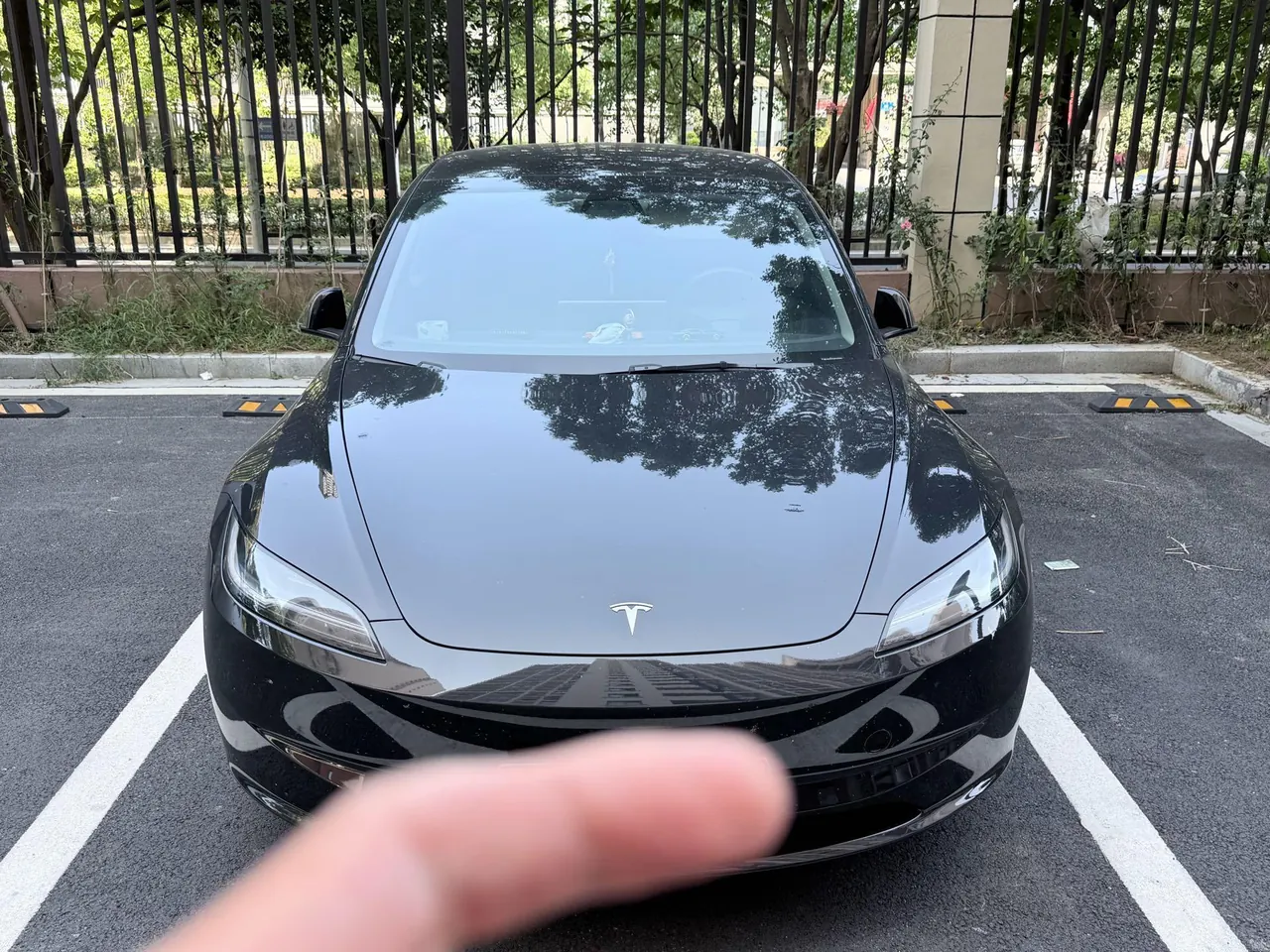 Tesla 2023 Model 3 Rejuvenation Edition Rear Wheel Drive Automatic Transmission 2