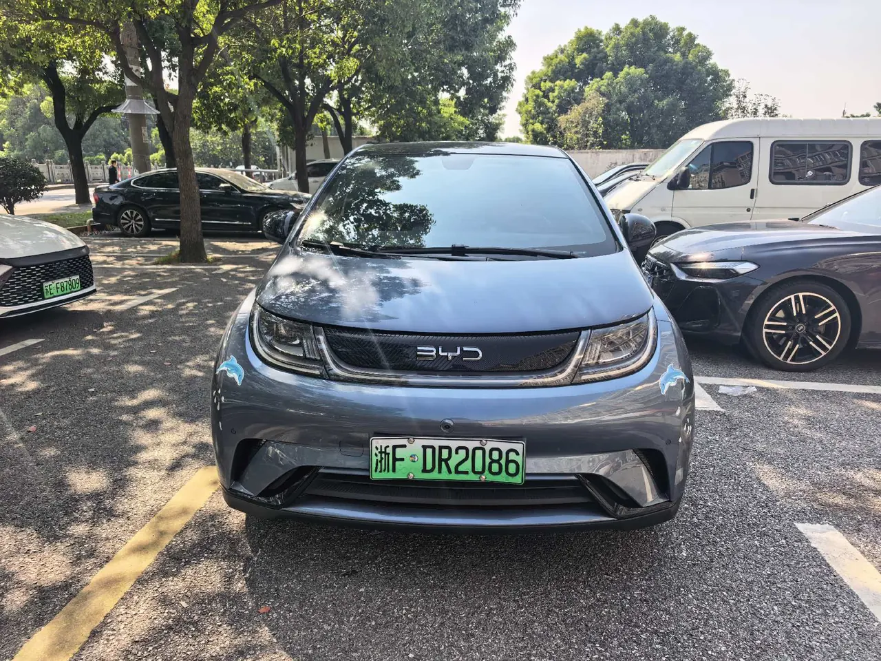 BYD 2023 Dolphin 420km Fashion Edition Automatic 2