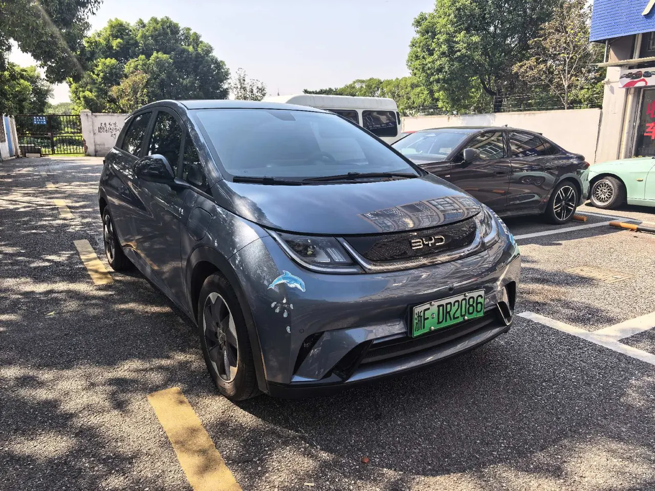 BYD 2023 Dolphin 420km Fashion Edition Automatic 5