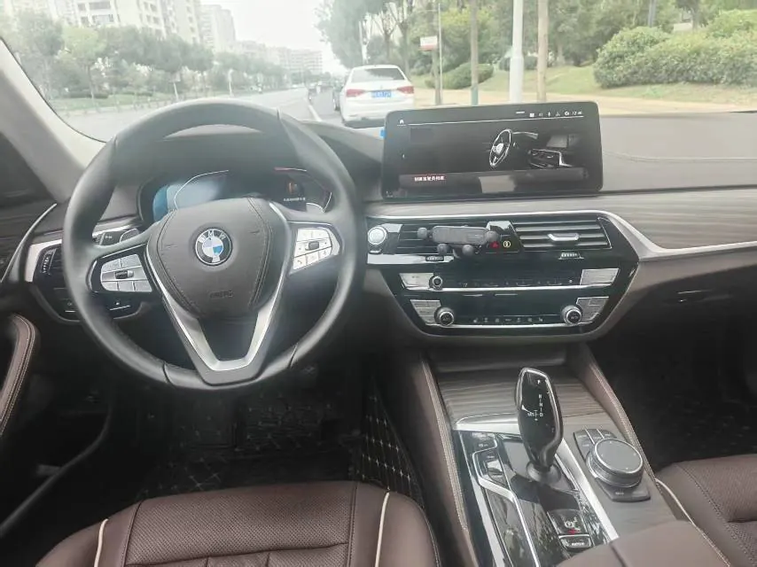BMW 5 Series 2022 530Li 2.0T Leading Luxury Suit (Modified) Automatic Gear 3