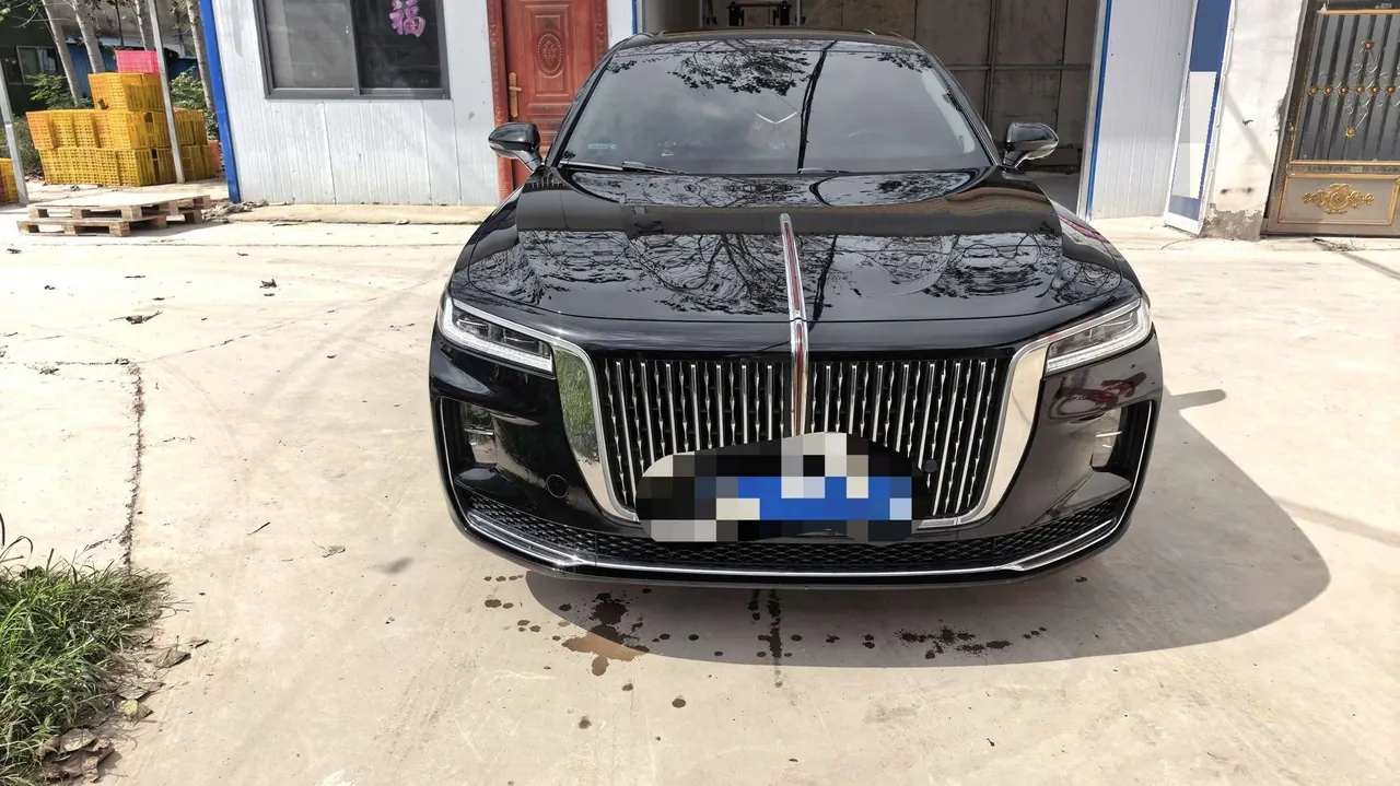 HongQi 2020 H9 2.0T Zhilian Flag Edition Automatic Gear 2
