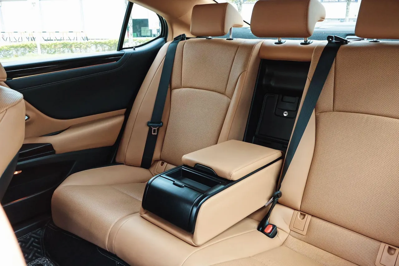 Lexus ES (Imported) 2022 ES200 2.0 Stepless Premium Edition Automatic Gear 10