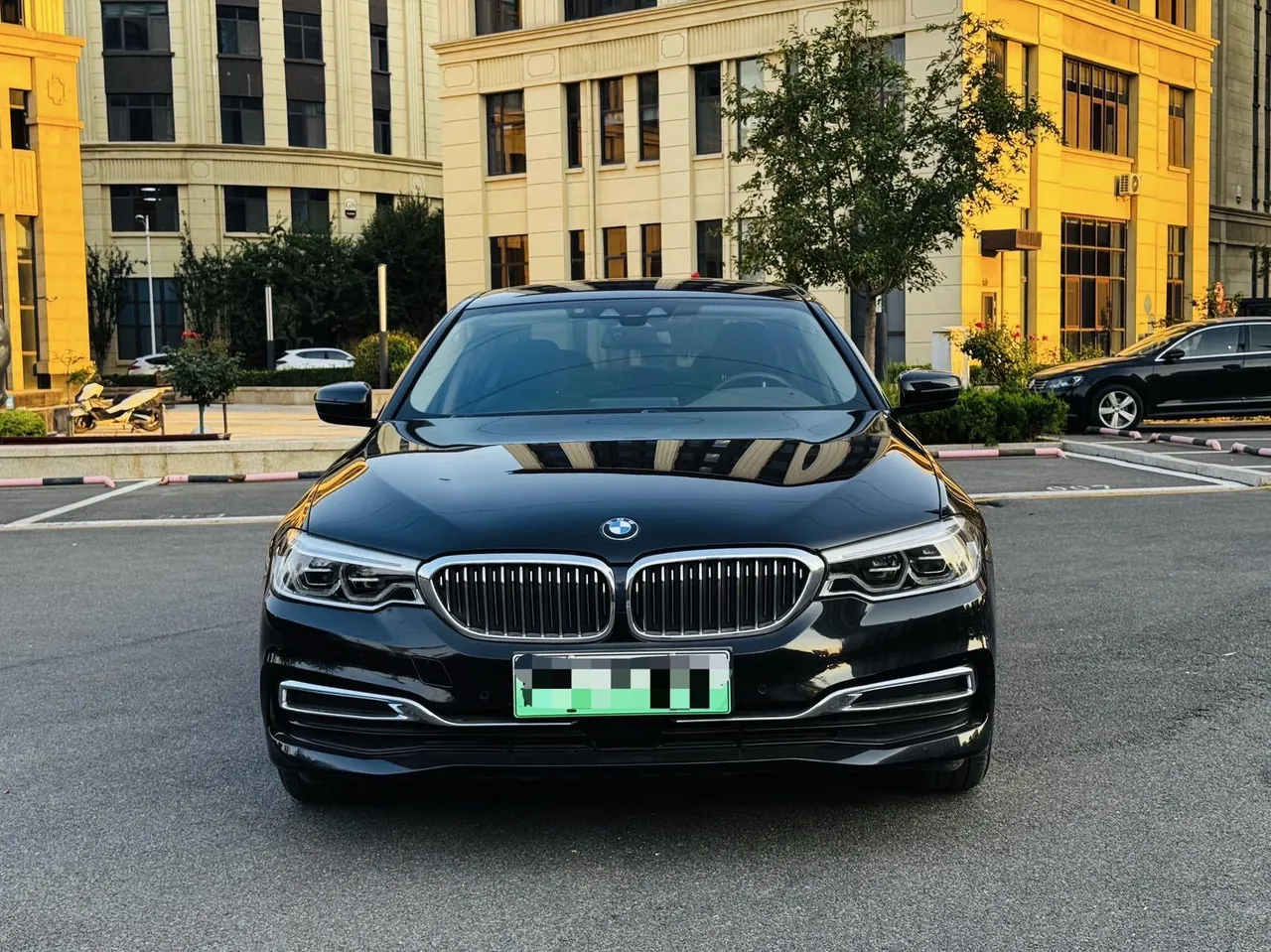 BMW 5 New Energy 2020 530Le 2.0T Mileage Upgrade Pioneer Automatic Gear 2