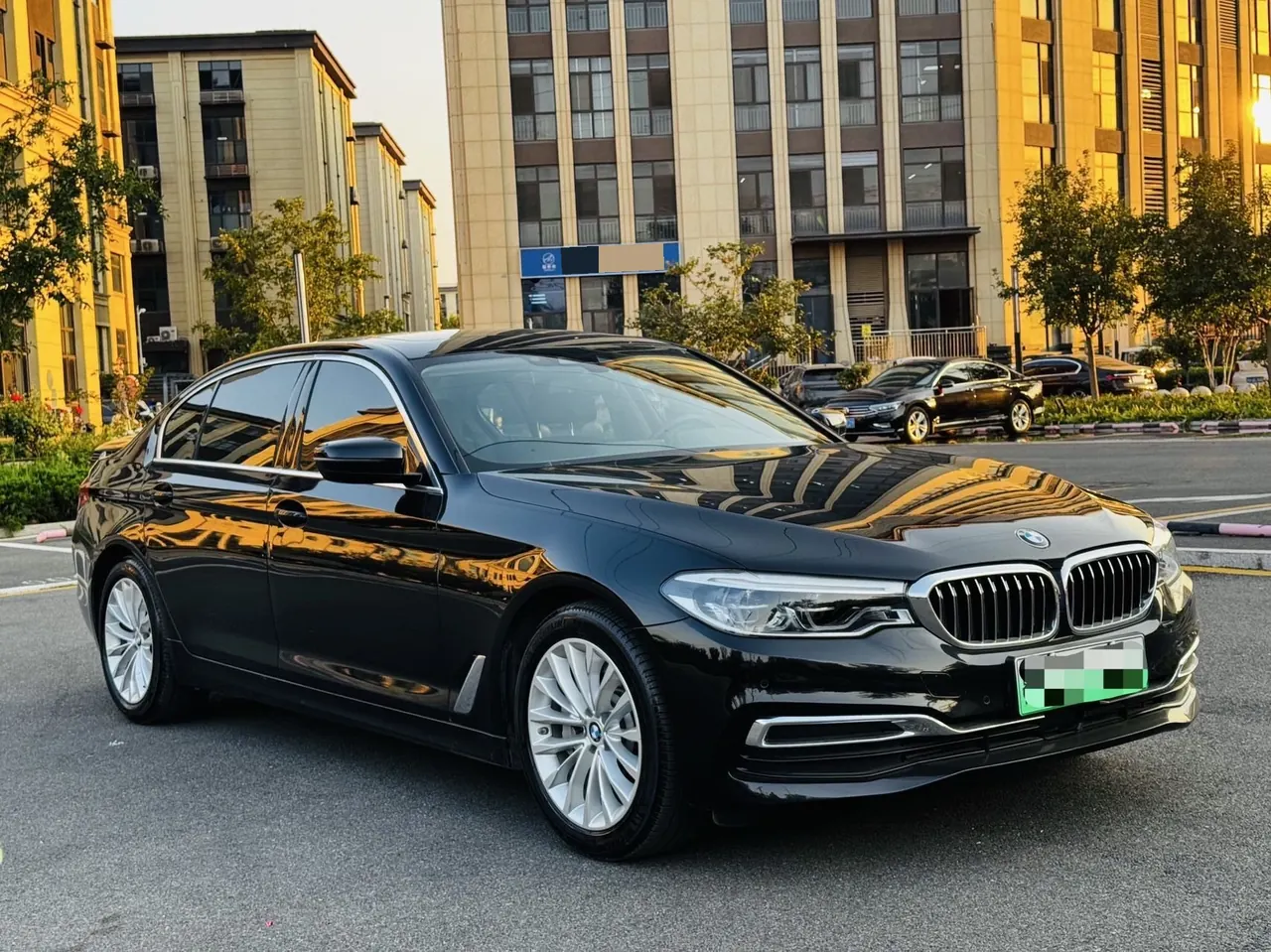 BMW 5 New Energy 2020 530Le 2.0T Mileage Upgrade Pioneer Automatic Gear 3
