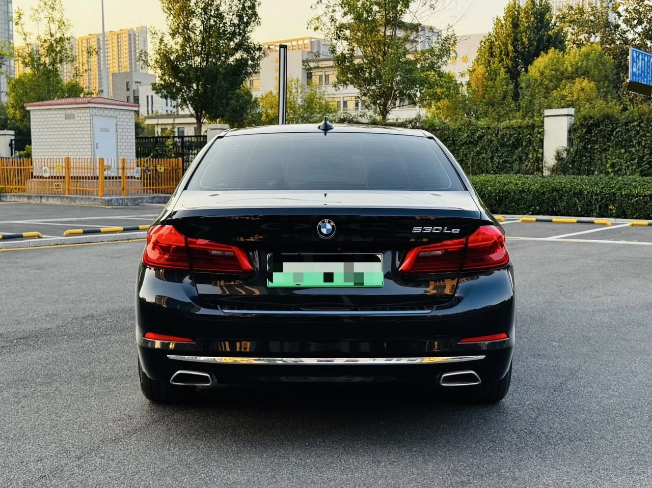 BMW 5 New Energy 2020 530Le 2.0T Mileage Upgrade Pioneer Automatic Gear 5