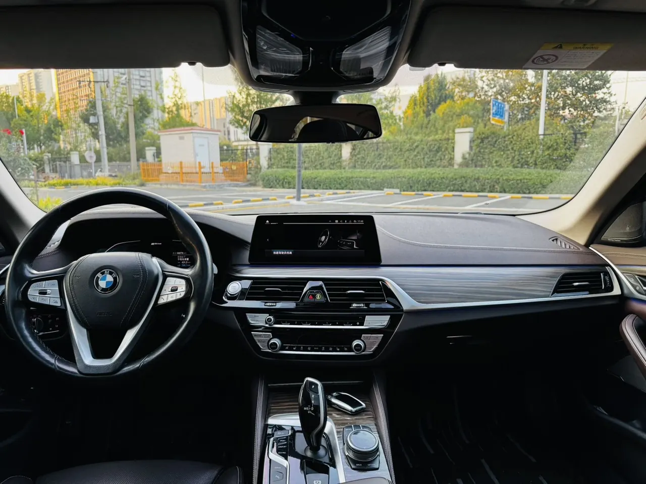 BMW 5 New Energy 2020 530Le 2.0T Mileage Upgrade Pioneer Automatic Gear 8