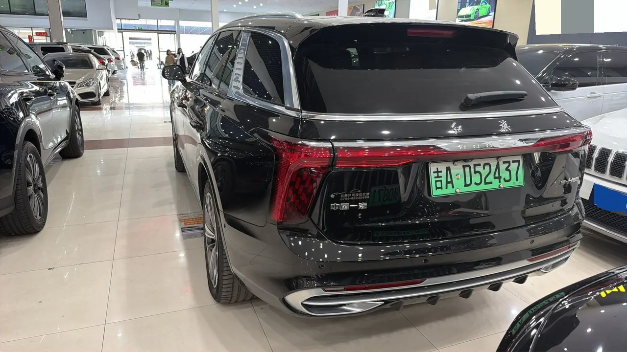 HongQi 2021 E-HS9 Flag Enjoy 6-seat Automatic Gear 3