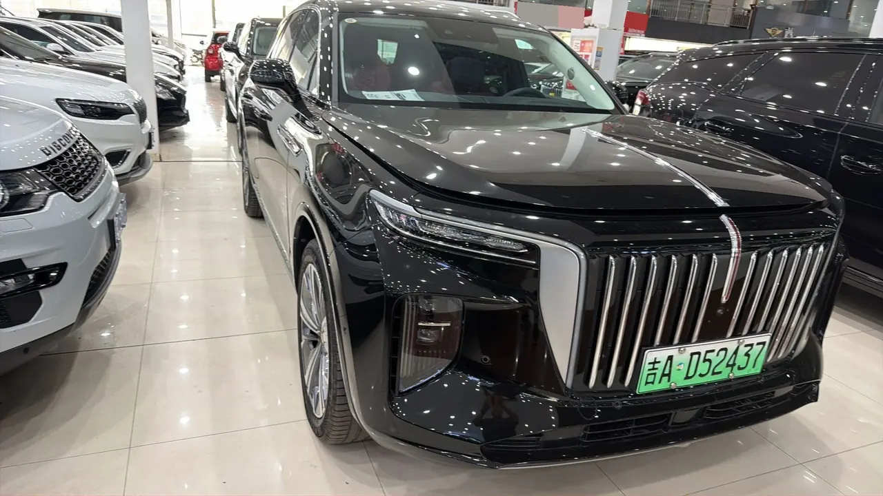 HongQi 2021 E-HS9 Flag Enjoy 6-seat Automatic Gear 4